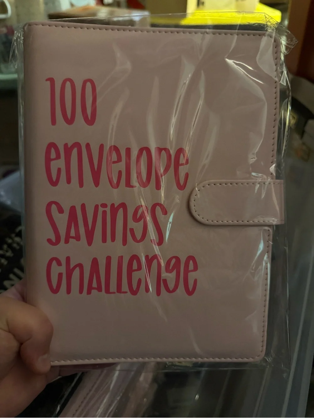 Pink 100 Envelope Savings Challenge Binder Organizer